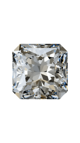 Test Product (Not for Sell) - Reverra Jewels Inc.