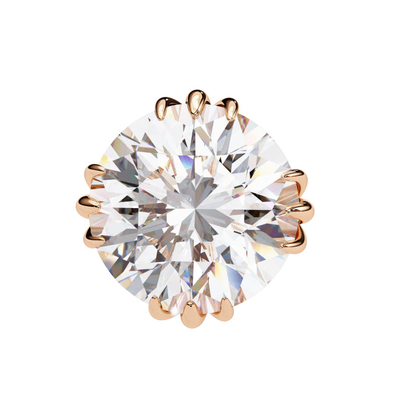 Reverra 14K Gold Round Lab Grown Diamond 12 Prong Stud Earrings For Women, CTTW-2.8 - Reverra Jewels Inc.