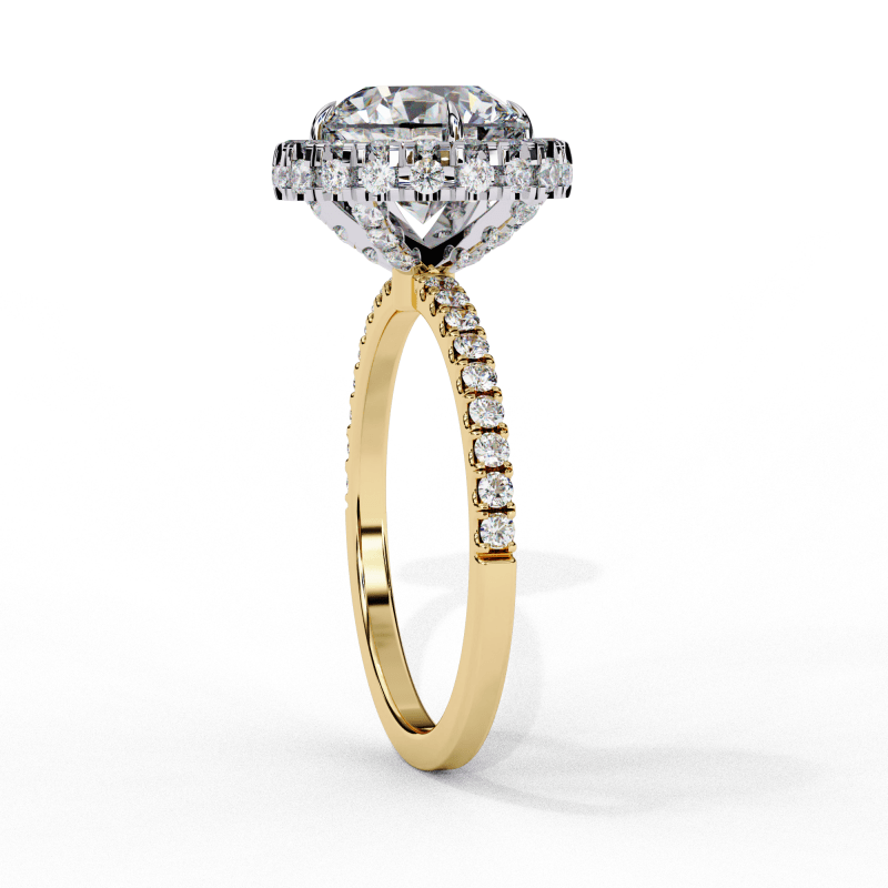 Reverra 14K Gold Round Lab Grown Diamond with Pave Band Double Halo Engagement Ring for Women, CTTW-2.9 - Reverra Jewels Inc.