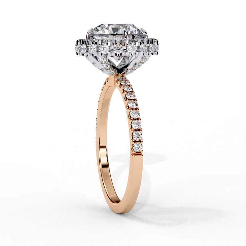 Reverra 14K Gold Round Lab Grown Diamond with Pave Band Double Halo Engagement Ring for Women, CTTW-2.9 - Reverra Jewels Inc.